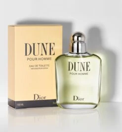 Dior Dune Pour Homme 100 Ml - Eau De Toilette - Herenparfum -Parfumerie Winkel 1111x1200