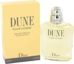 Dior Dune Pour Homme 100 Ml - Eau De Toilette - Herenparfum -Parfumerie Winkel 1200x1041
