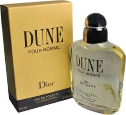 Dior Dune Pour Homme 100 Ml - Eau De Toilette - Herenparfum -Parfumerie Winkel 1200x1098