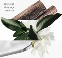 Hermes H24 Eau De Toilette Spray 50 Ml 16 Hermes H24 Eau De Toilette Spray 50 Ml -Parfumerie Winkel 1200x1133