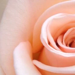 Spider-Man Geschenkset - Eau De Toilette 100 Ml & Douchegel 60 Ml - Met Toilettas -Parfumerie Winkel 1200x1200 182