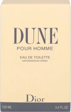 Dior Dune Pour Homme 100 Ml - Eau De Toilette - Herenparfum -Parfumerie Winkel 761x1200